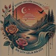 Eşref Ziya Bir Gün Gelir Müziksiz Ezgi