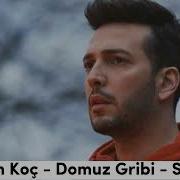 Oğuzhan Koç Domuz Gribi Speed Up