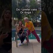 Wrong Answer And Get Pushed In Pool Shorts
