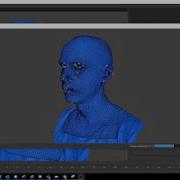 Wrap3 Processing