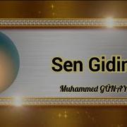 SEN GİDİNCE Muhammed GÜNAYDIN Duygusal İlahi