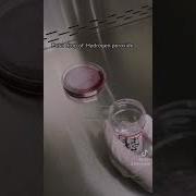 Catalase Test Biochemical Test Lab Microbiology Medtechstudent Laboratory Microbiology Cls Mt