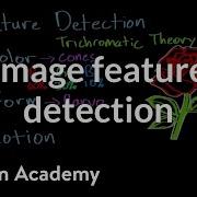 Feature Detection And Parallel Processing Processing The Environment MCAT Khan Academy
