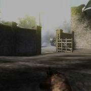 COD2 Chile Boyka SICK4DOWN