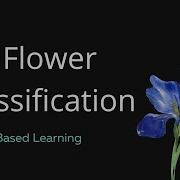 18 Iris Flower Classification Using Machine Learning Live Project Training