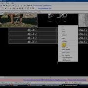 UpdatingPagesWithPageBreeze Flv