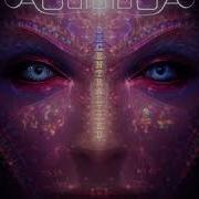 AodioiboA Digital Autonomous Society