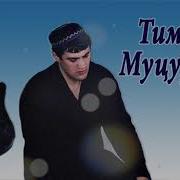 Тимур Муцураев Свобода