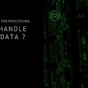Chapter 2 Data Preprocessing 2 How To Handle Missing Data