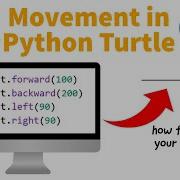 Movement With Python Turtle Penguin Coding School Tutorial 1