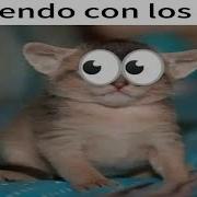 Shitposting Compilation En Español Ep52