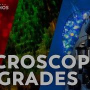 The Microscope Upgrades We Ve Made Along The Way Compilation