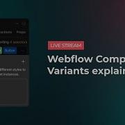Объяснение вариантов компонентов Webflow
