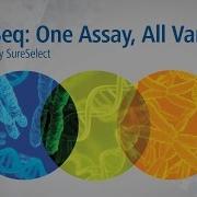 OneSeq 3D Animation With Subtitles