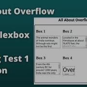 All About Overflow CSS Flexbox Coding Test 1 Solution CCBP Coding Test Answers