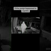 If The Purge Was Real Wyze Funny Scary Shorts Fy