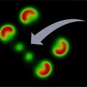 Neat AI Does Reaction Diffusion An Extension Of Conway S Game Of Life