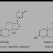 Active Constituents Of Digitalis