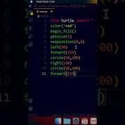 Python Heart