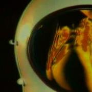Space Magic Fly Official Videoclip