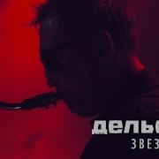 Дельфин Dolphin Звезда Акустика Live