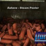 Carrots Processing Line With High Yield Steam Peeler Mod Sahara By Turatti