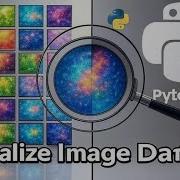 Visualizing Image Datasets In PyTorch Python Deep Learning For Beginners