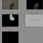 Realtime Hand Gesture Recognition Using Matlab