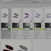 3DHISTECH CaseCenter Basics Video Tutorial