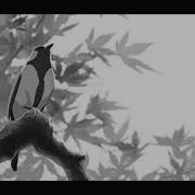 Dawn Chorus Thom Yorke Slowed Reverb