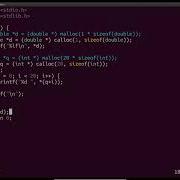 Dynamic Memory Allocation Calloc