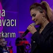 Derya Bedavacı Korkarım