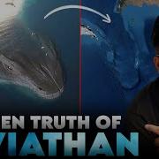 Mystery Of Leviathan The Most Terrifying Giant Mythical Sea Monster