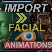 Import FACIAL Animations To BLENDER Rokoko