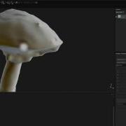 UV Mapping And Retopology In MudBox 2 2