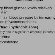 Chapter 16 Adrenal Glands