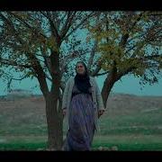 Ali İnsan Yara Bere Feat Portrenk