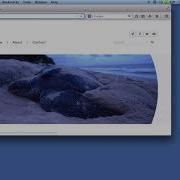 Selenium Python Language Sending Keys To An Element