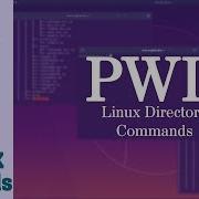 PWD Linux Directory Commands 06 Linux Fundamental Course Hindi