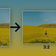 5 Easy Ways To Change Image Aspect Ratio Without Distortion