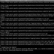 PraPR Practical Program Repair Via Bytecode Mutation Demo
