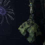 Applying Midwater Sampling Technologies Designing The Future 2