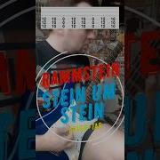 Shorts Rammstein Steinumstein Music Guitar Lesson Tabs Cover