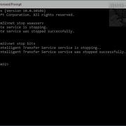 How To Delete The SoftwareDistribution Folder In Windows 10 11