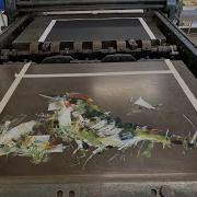 Monoprinting On An Offset Litho Press