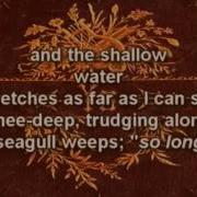 Joanna Newsom Only Skin With Lyrics Full Length