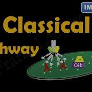 The Classical Pathway The Complement System Part IV FL Immuno 16