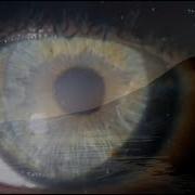 Why Your Life Matters The Deep Structure Of Existence Alan Watts