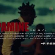Fireboy DML Dopamine Official Visualizer