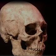 The Kennewick Man CBC 1996